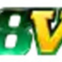 888 VND's profile picture