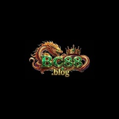 Bc8 blog's profile picture