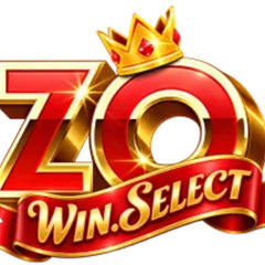 ZOWIN select's profile picture