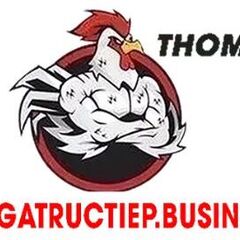 ĐÁ GÀ TRỰC TIẾP  BUSINESS's profile picture