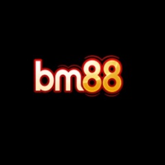 BM 88's profile picture