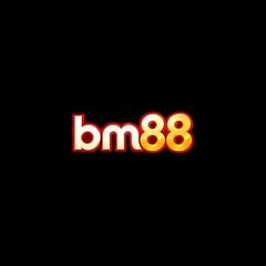 BM88 TW's profile picture