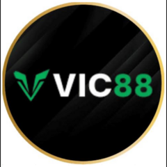 vic88 codes's profile picture