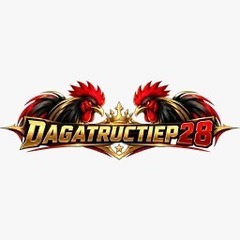 dagatructiep28 com's profile picture