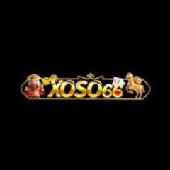 Xoso66a Itcom's profile picture