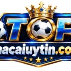 Nhacaiuytin Codes's profile picture