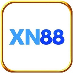Xn88vn com's profile picture