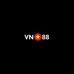 VN 88's profile picture