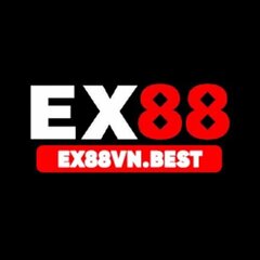 EX88VN  BEST's profile picture