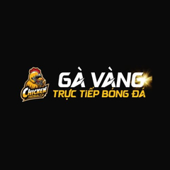Gavang TV's profile picture
