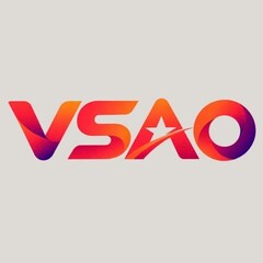Vsao Vn's profile picture