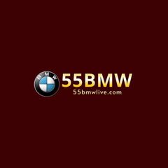 55BMW  Online Casino's profile picture
