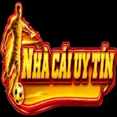 Nhacaiuytins eu com's profile picture