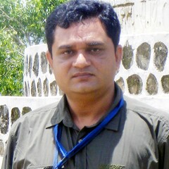 Himanshu Rai's profile picture