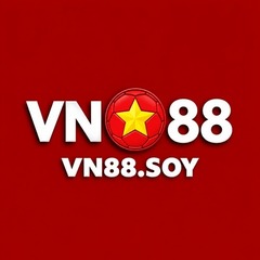 VN88 soy's profile picture