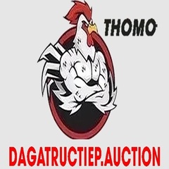 dagatructiep AUCTION's profile picture