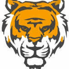 tiger exchange's profile picture