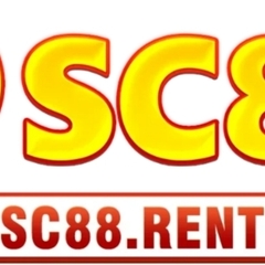 Sc88oke xyz's profile picture