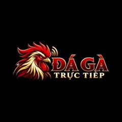 Daga plus's profile picture