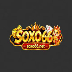 Soxo66 Net's profile picture