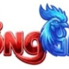 Tổng  Gà 88 NL's profile picture