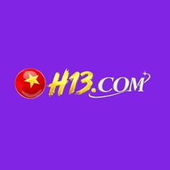 H13 de com's profile picture