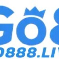 GO8 org's profile picture