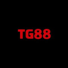 TG 88's profile picture