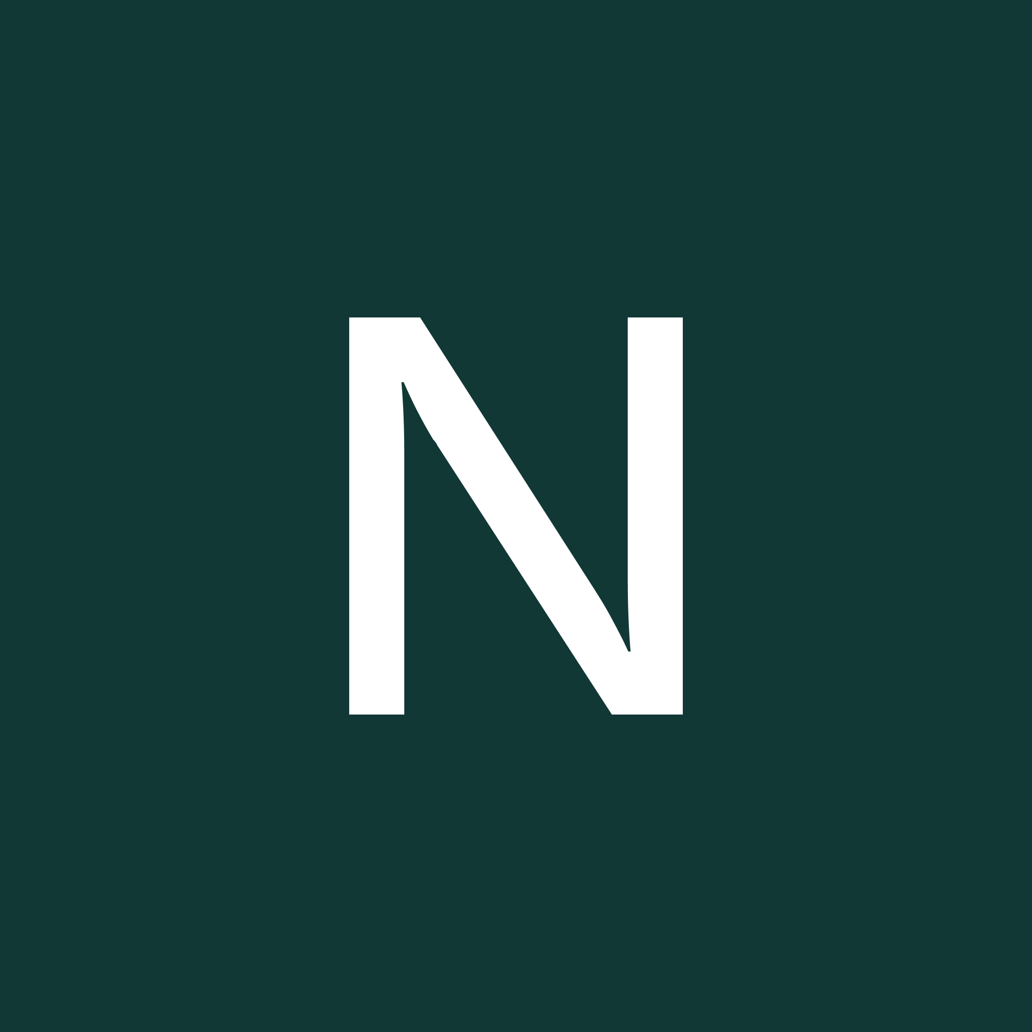 .NET Developer