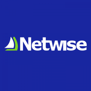 Logo NETWISE SPÓŁKA AKCYJNA