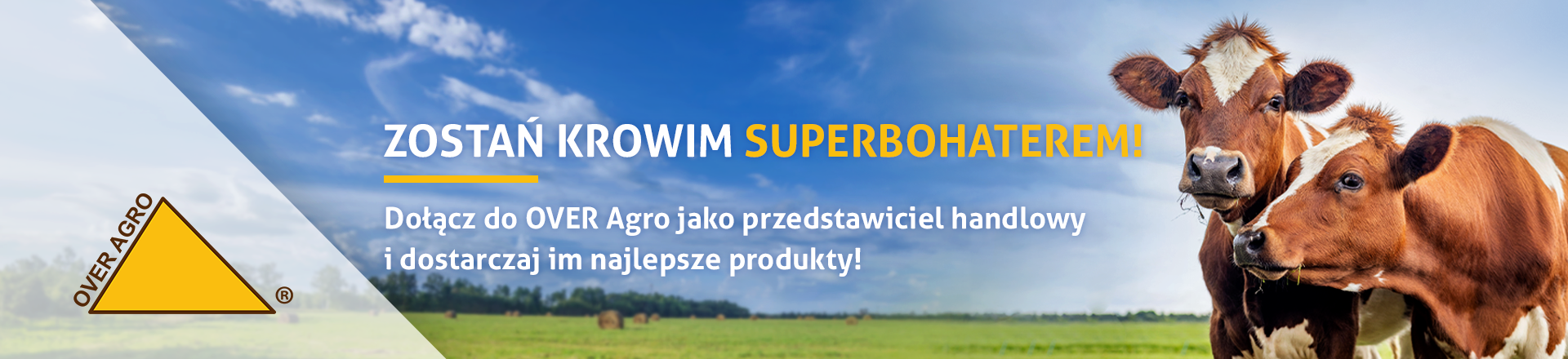 offer-banner