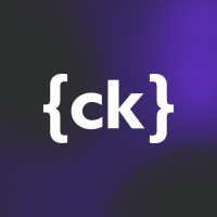 Senior IT Project Manager