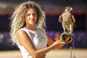 Abu Dhabi: Desert Safari with BBQ, Camel Ride & Sandboarding