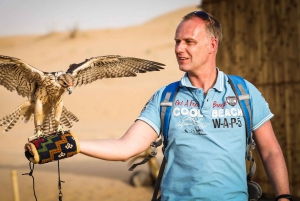 Abu Dhabi: Desert Safari with BBQ, Camel Ride & Sandboarding