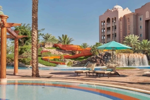 Tour de la ciudad de Abu Dabi de medio día o un día desde Dubái/Abu Dabi