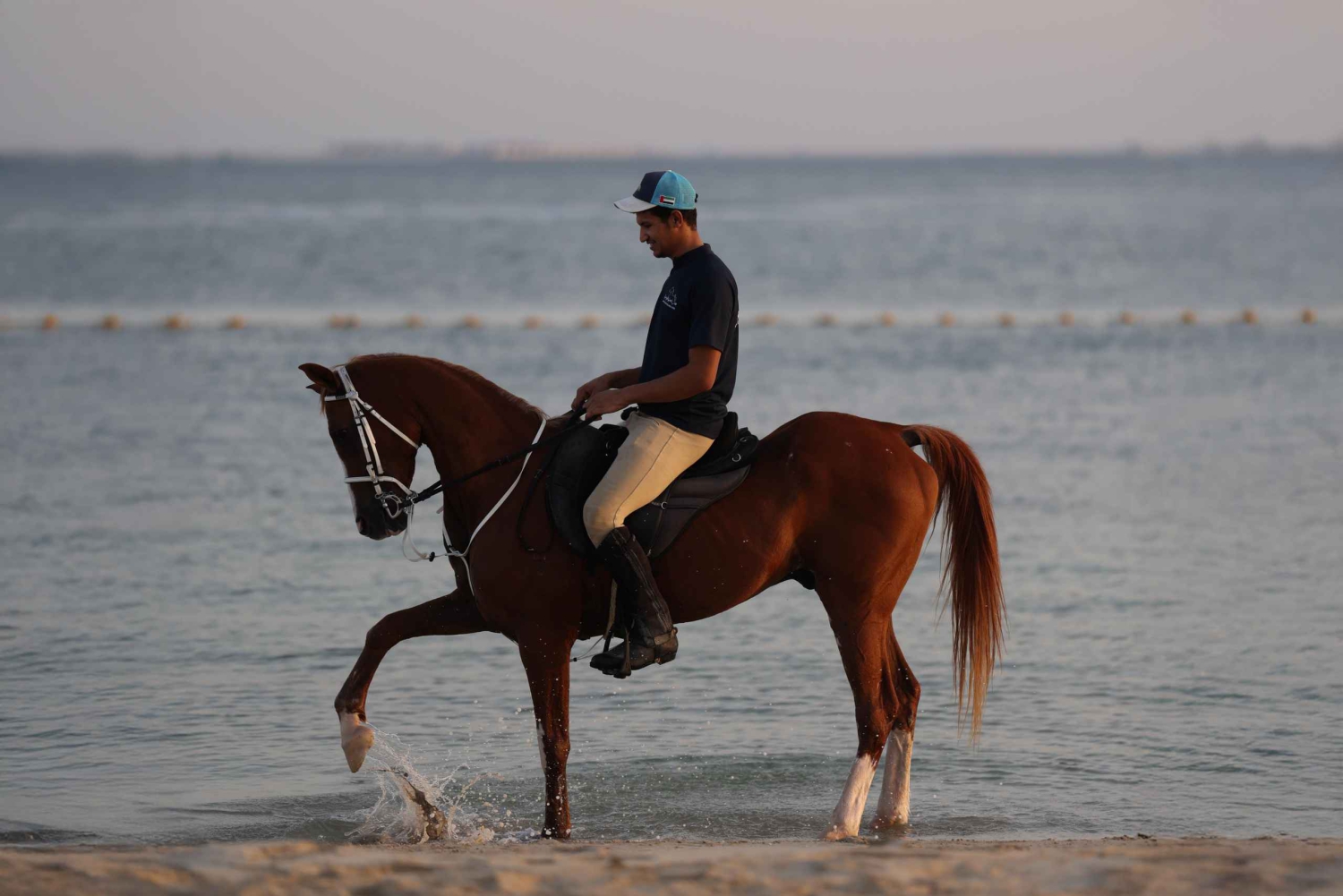 Abu Dabi: Experiencias a caballo en la isla de Hudairiyat