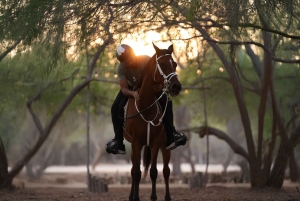 Abu Zabi: Jazda konna na wyspie Hudairiyat