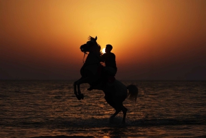 Abu Zabi: Jazda konna na wyspie Hudairiyat