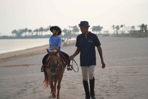 Abu Zabi: Jazda konna na wyspie Hudairiyat