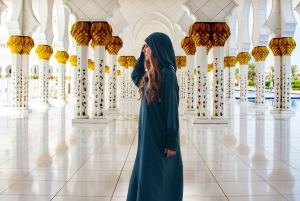 アブダビのウォーキングツアー：シェイク・ザイード・モスクと図書館をご訪問ください