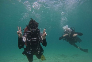 Cours de plongée Padi Open Water à Abu Dhabi