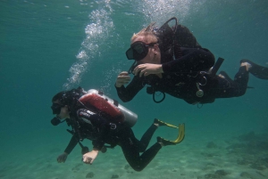 Cours de plongée Padi Open Water à Abu Dhabi
