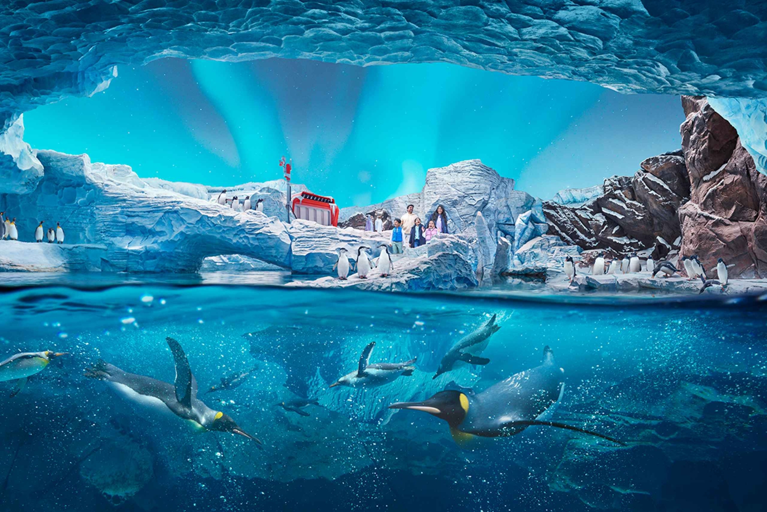 Абу-Даби: входной билет в SeaWorld и дополнительные впечатления