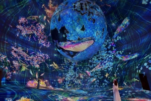 Abu Dhabi: TeamLab Phenomena-opplevelse med transport