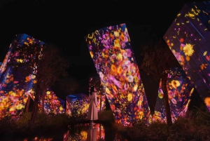 Abu Dhabi: TeamLab Phenomena-opplevelse med transport