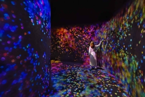 Abu Dhabi: TeamLab Phenomena-opplevelse med transport