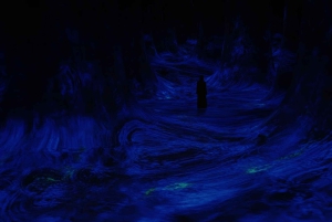 Abu Dhabi: TeamLab Phenomena-opplevelse med transport