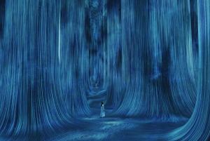 Abu Dhabi: TeamLab Phenomena-opplevelse med transport