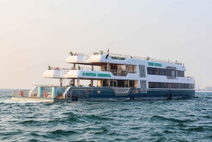 Abu Dabi: paseo en barco con cena y buffet en un megayate en Yas Marina Bay