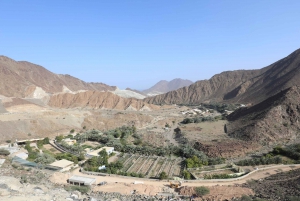 Dubai: Sheikh Zayed Mosque, Fujairah and Khorfakkan Tour